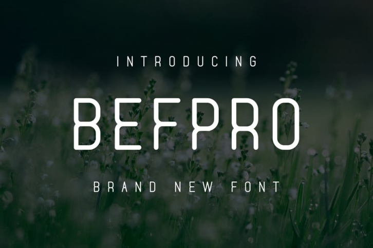 Befpro Font Font Download