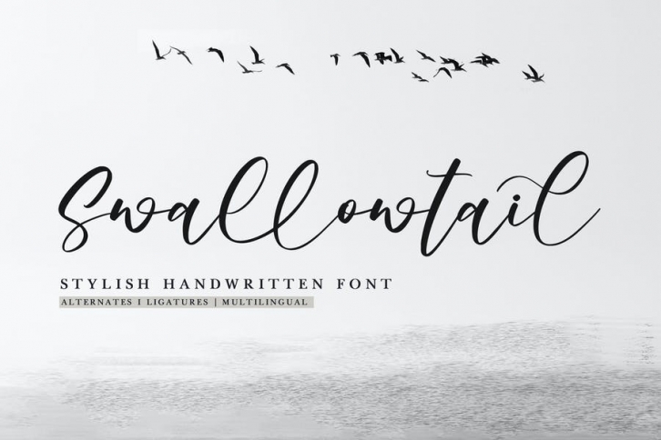Swallowtail - Stylish Handwritten Font Font Download
