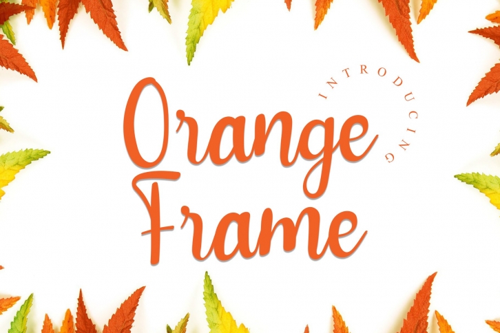 Orange Frame Font Download