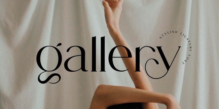 Gallery Serif Font Download