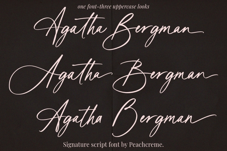 Agatha Bergman Luxury Signature Font Download