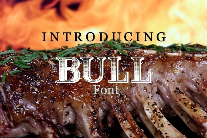 Bull Font Download