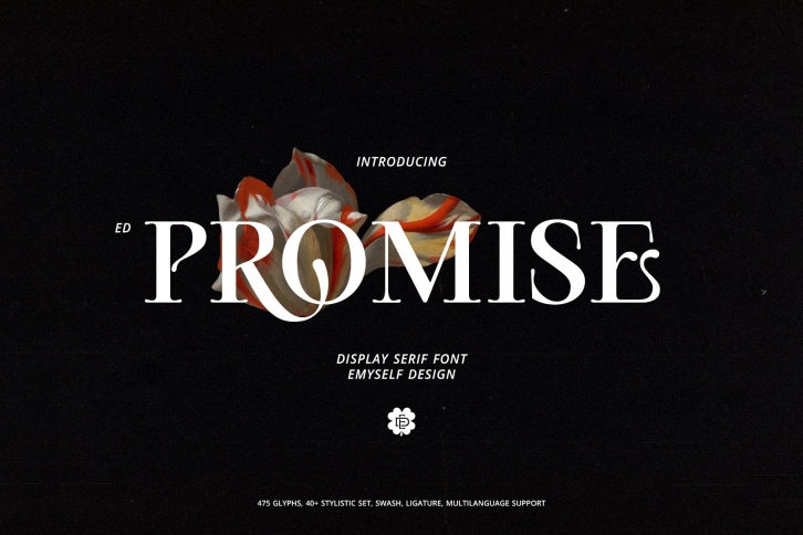ED Promise Font Download
