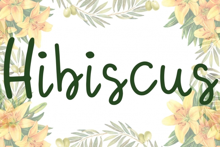 Hibiscus Font Download