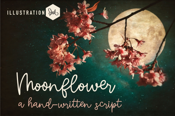 Moonflower Font Download
