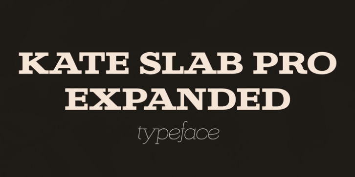 Kate Slab Pro Expanded Font Download