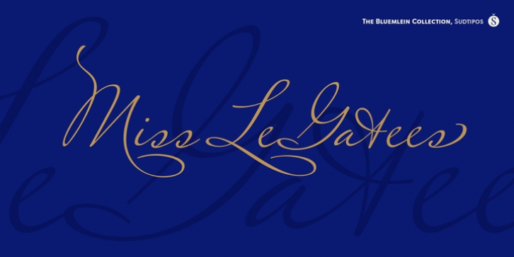 Miss Le Gatees Pro Font Download