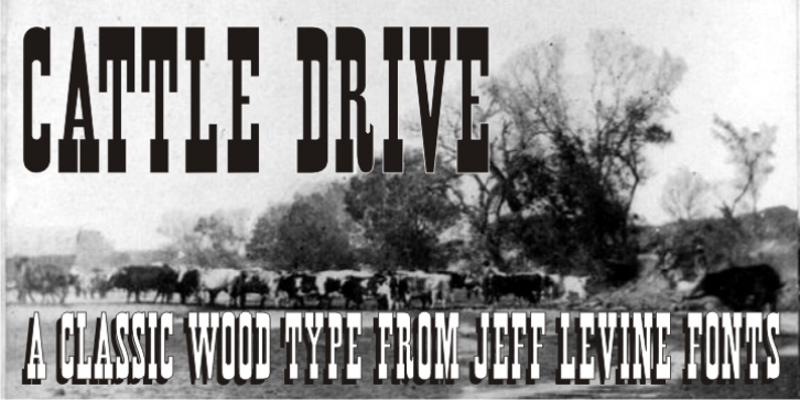 Cattle Drive JNL Font Download