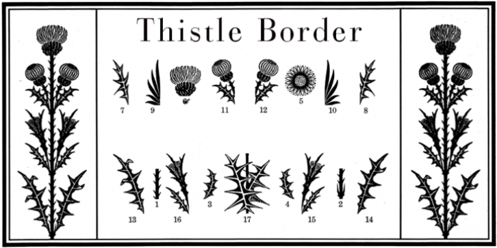 Thistle Borders Font Download