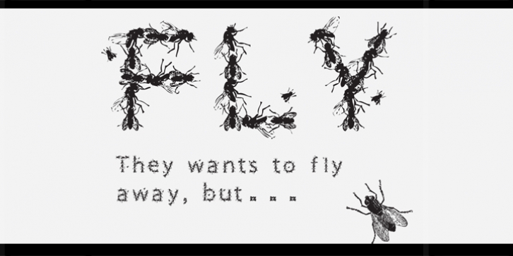 Flies Font Download