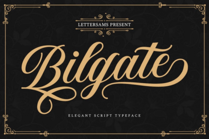 Bilgate Font Download