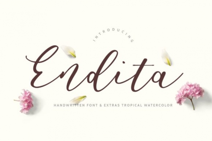 Endita Font Download