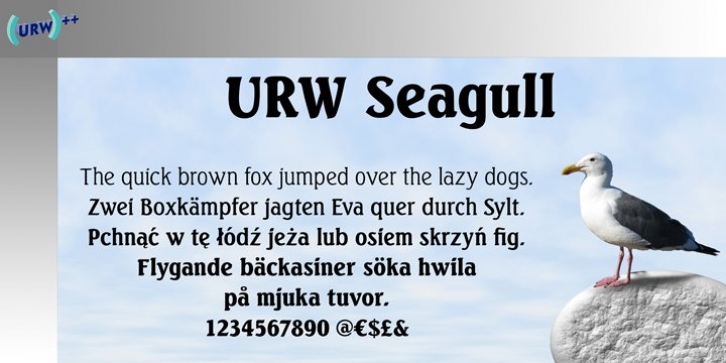Seagull Font Download