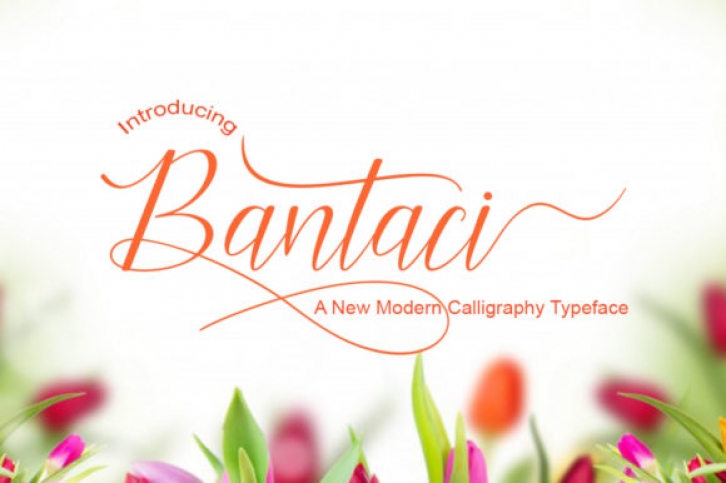 Bantaci Font Download