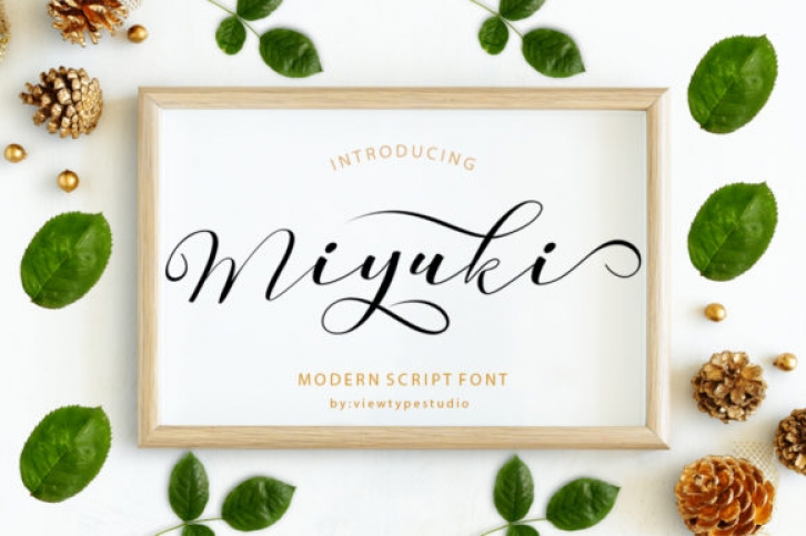 Miyuki Font Download