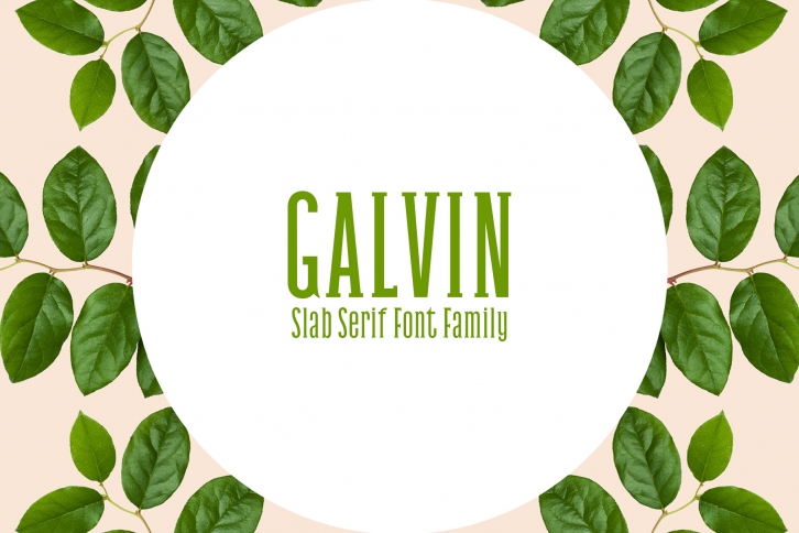 Galvin Family Pack Font Download
