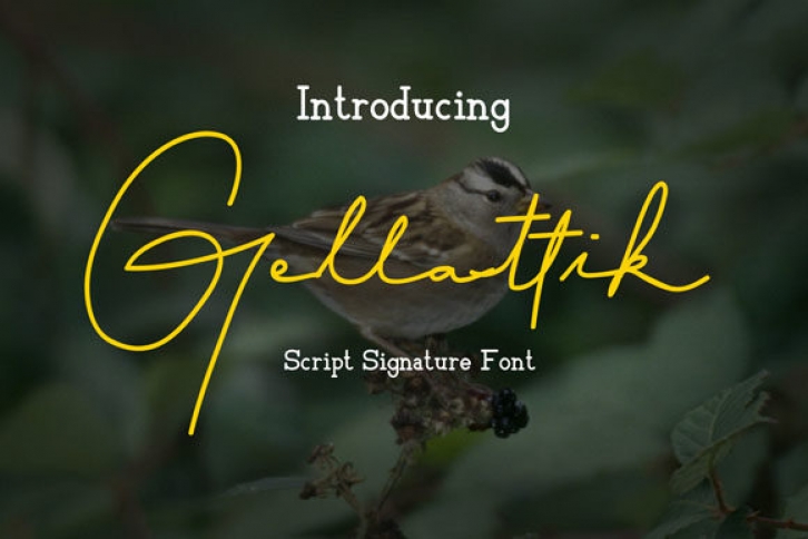 Gellattik Font Download