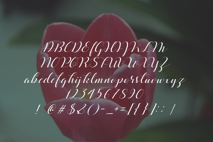Beloved Font Download