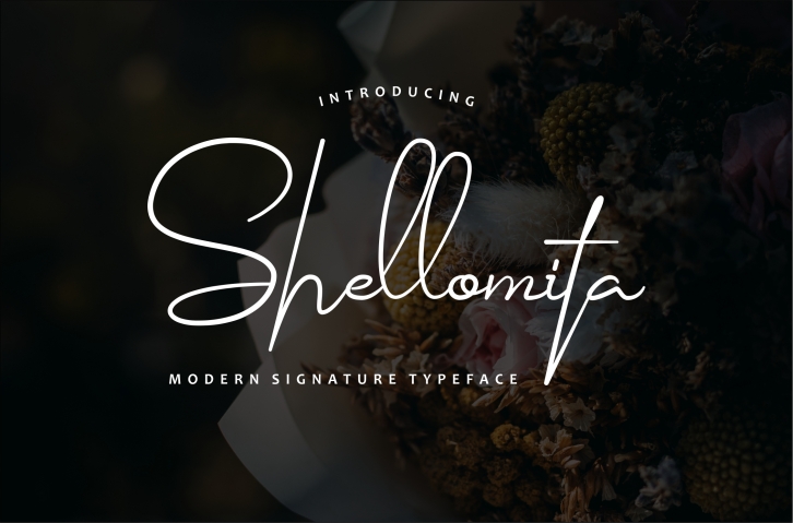 Shellomita Font Download