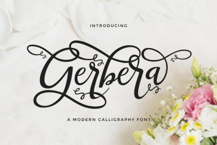 Gerbera Font Download
