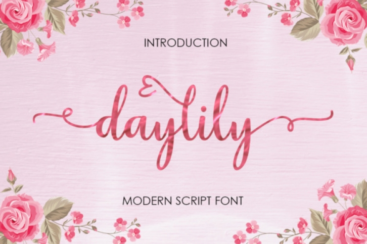 Daylily Script Font Download