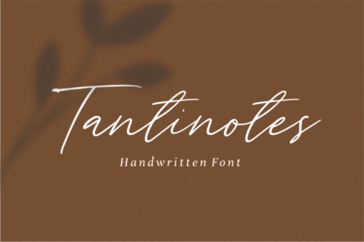 Tantinotes Font Download