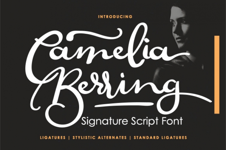 Camelia Berring Script Font Download