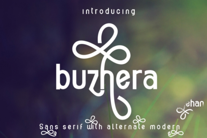 Buzhera Font Download