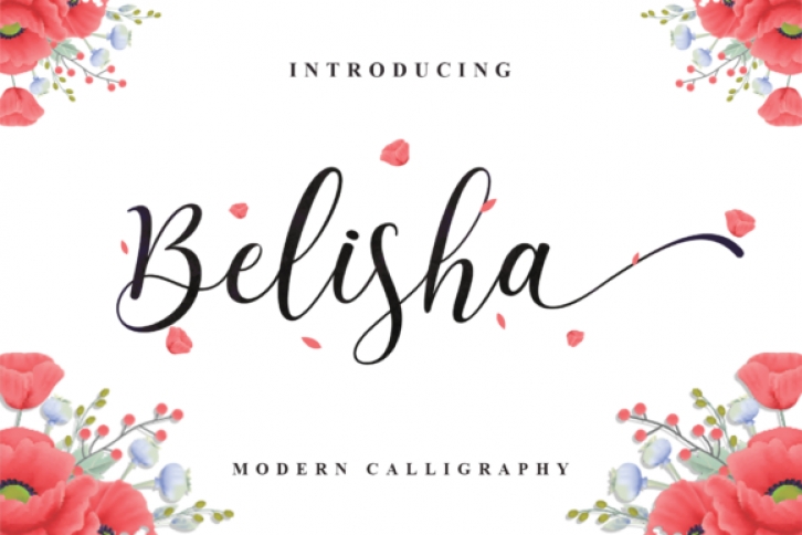 Belisha Font Download
