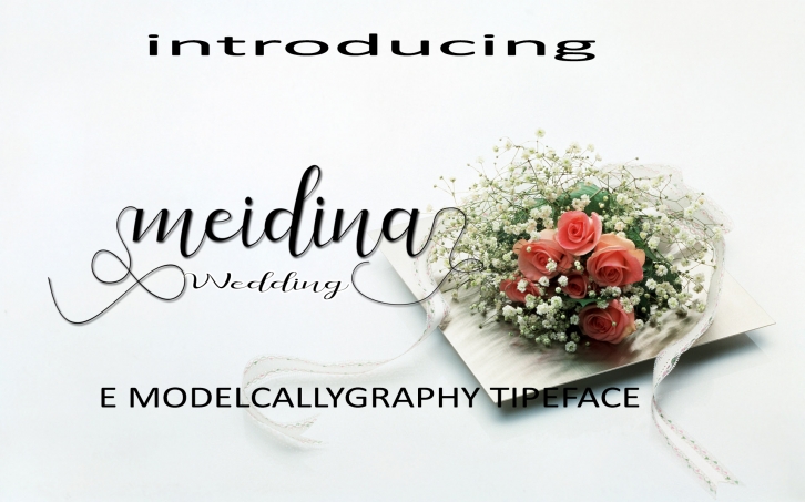 Meidina Font Download