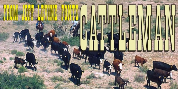 Cattleman JNL Font Download