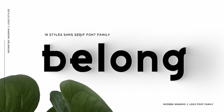 Belong Sans Font Download