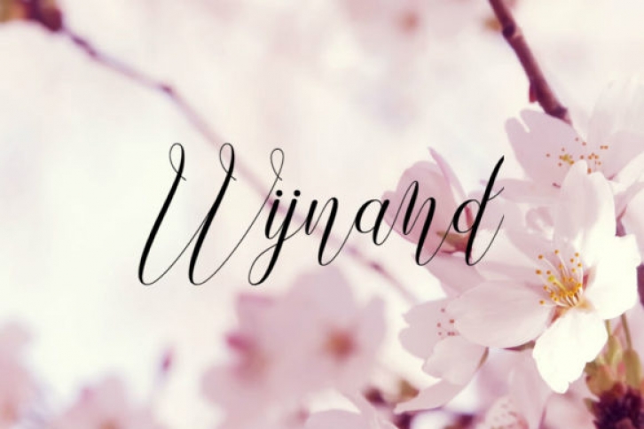 Wijnand Font Download