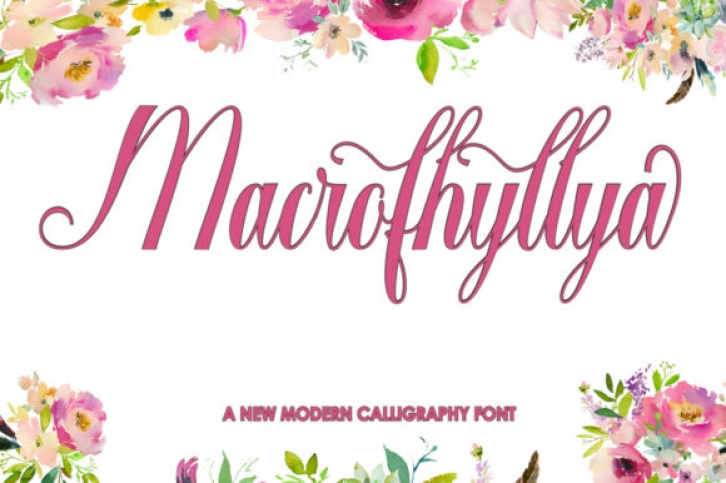 Macrofhyllya Script Font Download