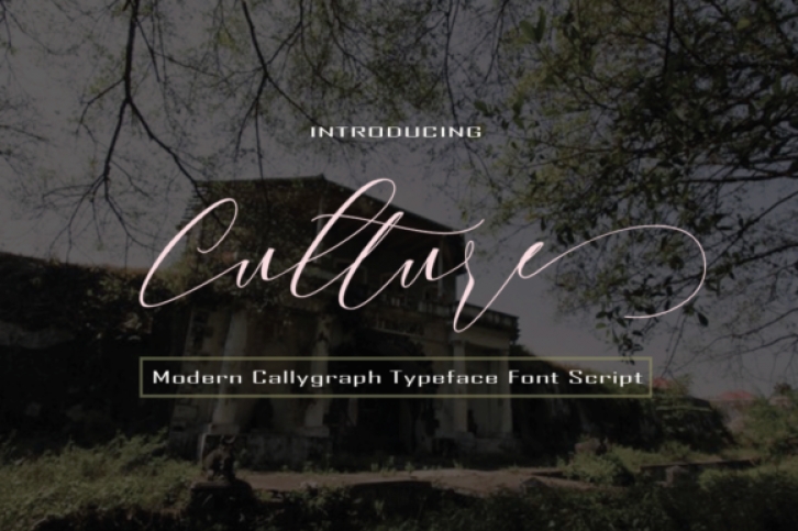 Culture Font Download