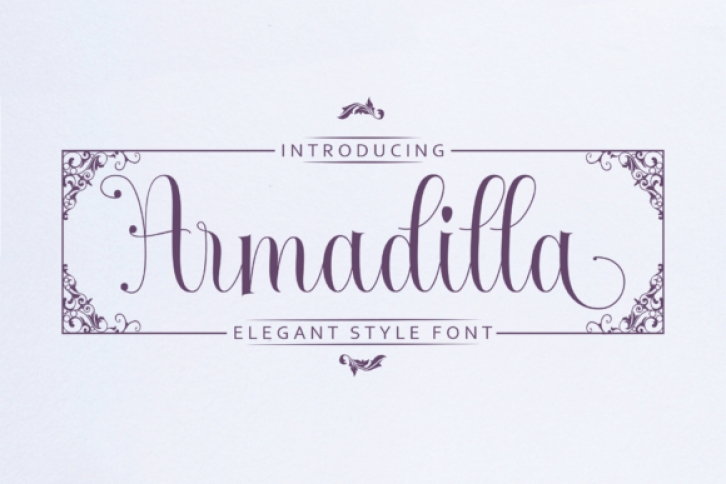 Armadilla Font Download