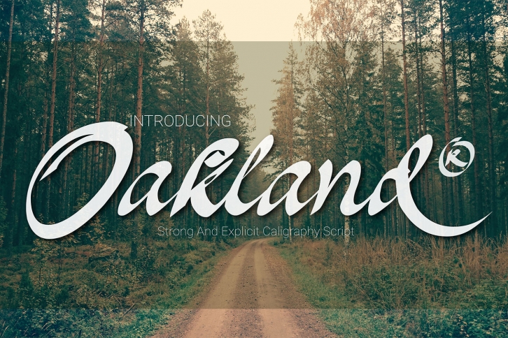 Oakland Font Download