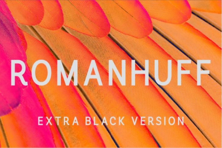 Romanhuff Extra Black Font Download