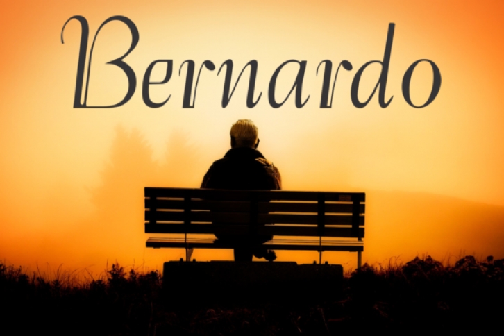 Bernardo Family Font Download
