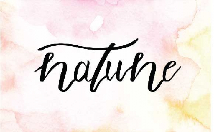 Natune Font Download