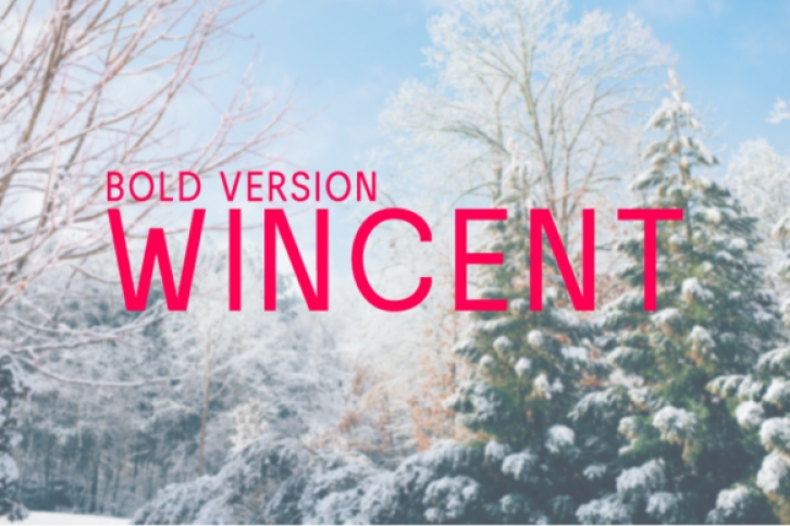 Wincent Bold Font Download