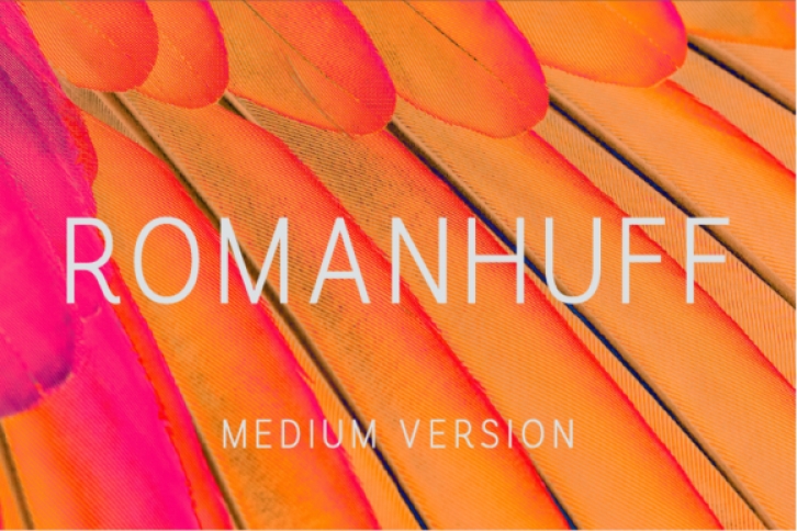 Romanhuff Medium Font Download