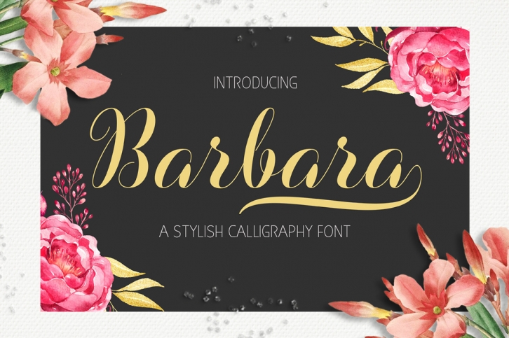 Barbara Font Download