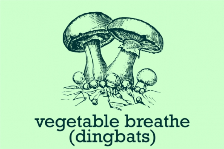 Vegetable Breathe Font Download