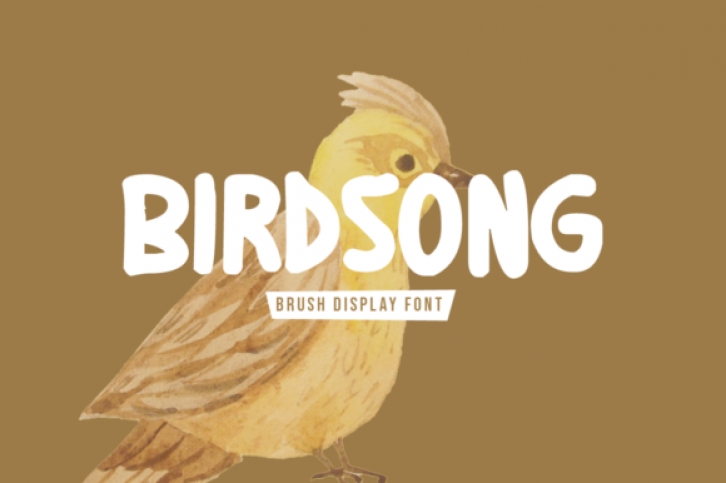 Birdsong Font Download