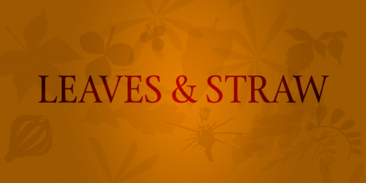 Leaves  Straw Font Download