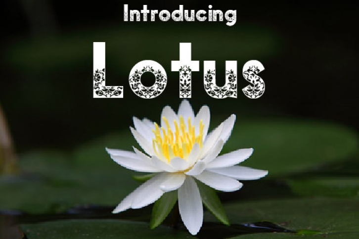 Lotus Font Download