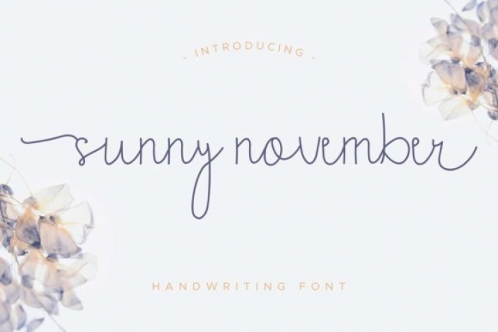 Sunny November Font Download