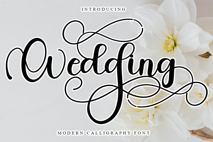 Wedding Font Download