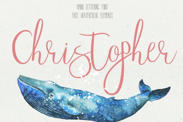 Christopher Font Font Download